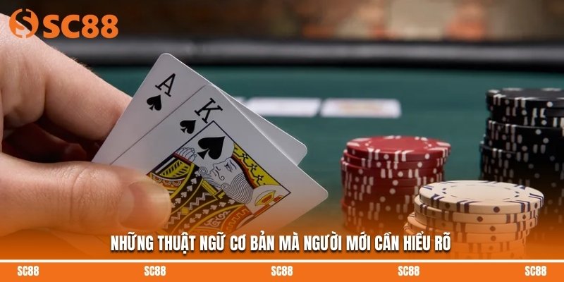 Những thuật ngữ cơ bản mà người mới cần hiểu rõ