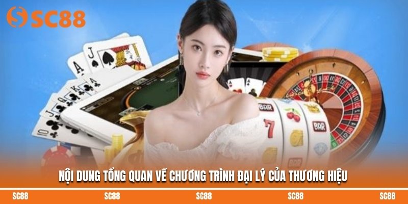 Nội dung tổng quan về chương trình đại lý của thương hiệu
