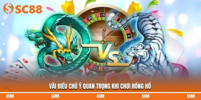 Vài điều chú ý quan trọng khi chơi rồng hổ