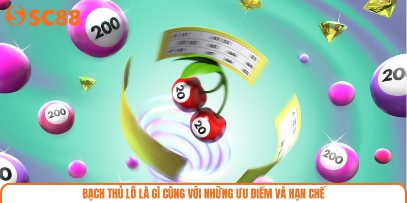 Bạch thủ lô là gì cùng với những ưu điểm và hạn chế