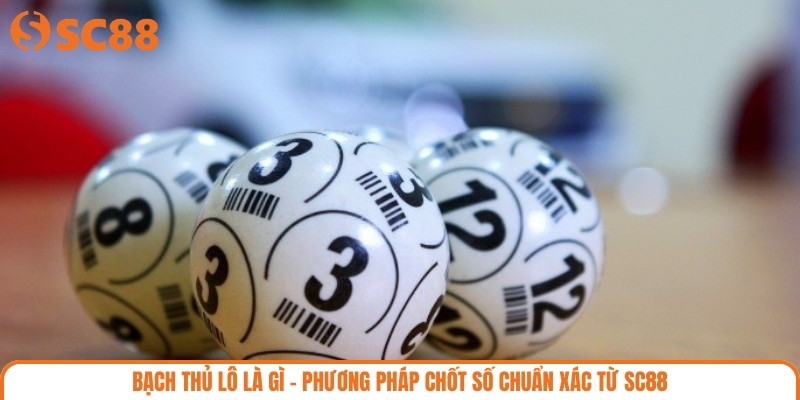 Bạch Thủ Lô Là Gì – Phương Pháp Chốt Số Chuẩn Xác Từ SC88
